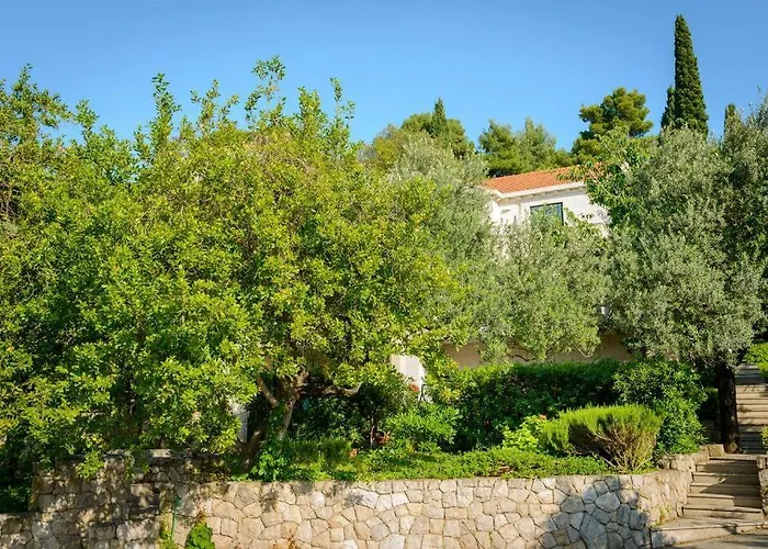 Appartement Center - With Private Terrace 2 *